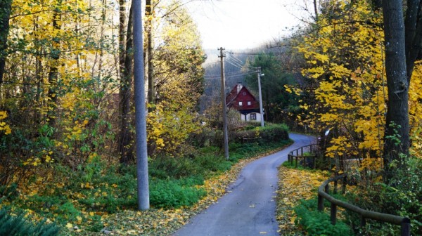 DSC02536