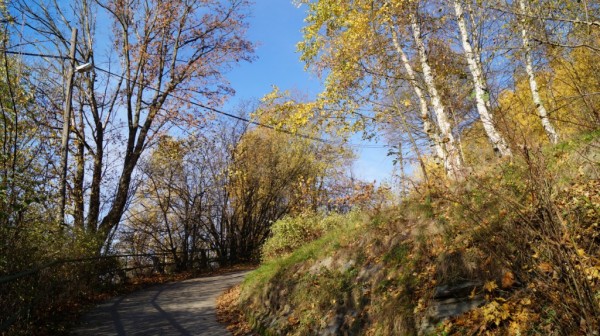 DSC02570