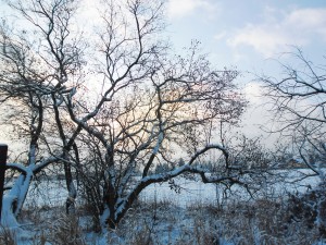 SAM_1899