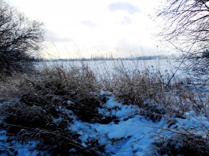 SAM_1901