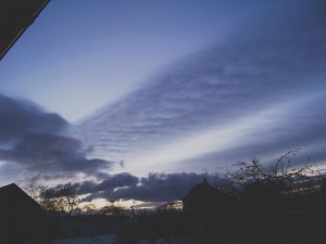 101_5489