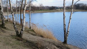 IMG_2687