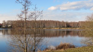 IMG_2773
