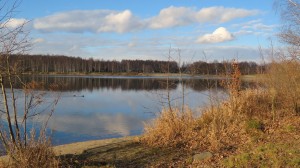 IMG_2766