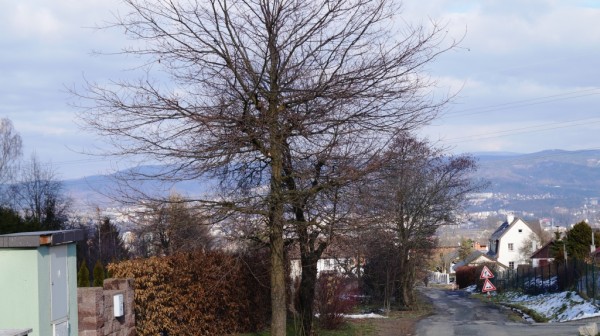 DSC03060