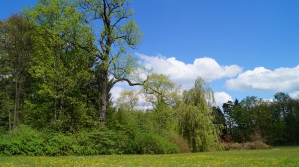 DSC03555