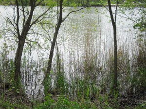 SAM_3457