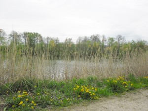 SAM_3482