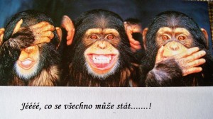 Mlnec a zahrada 015