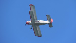 IMG_8691