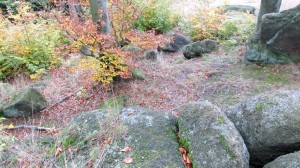 IMG_1689