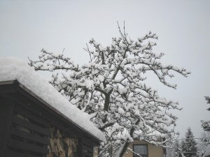 mejdk rok 2017 335