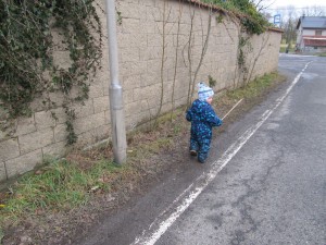 IMG_1954