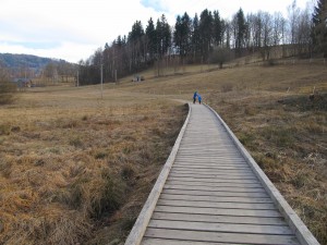 IMG_2178