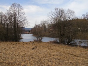 IMG_2179