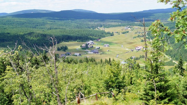 DSC06599