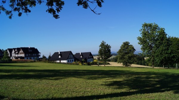 DSC06871