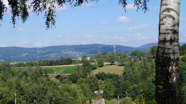 DSC06906