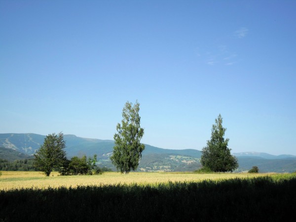 SAM_0410