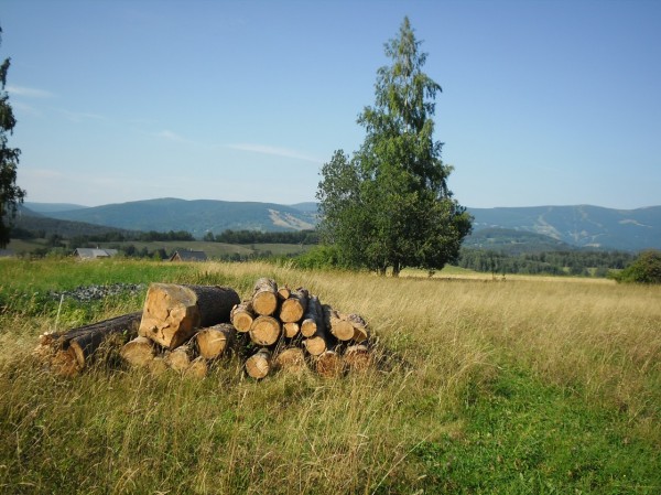 SAM_0416