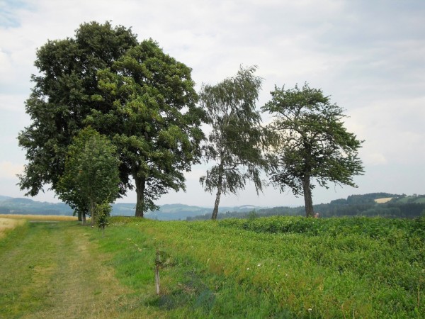 SAM_0436