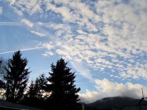 IMG_3299