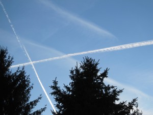 IMG_3290