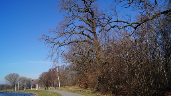 DSC07461