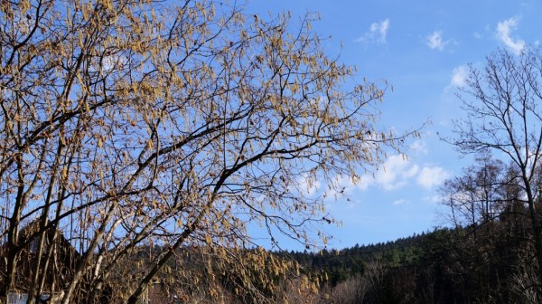 DSC07552