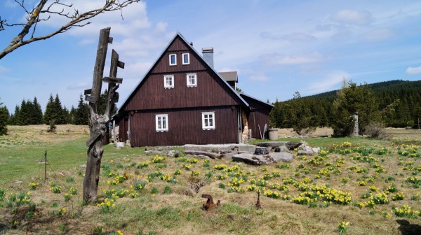 DSC07685