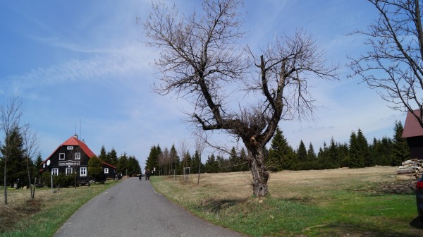 DSC07714