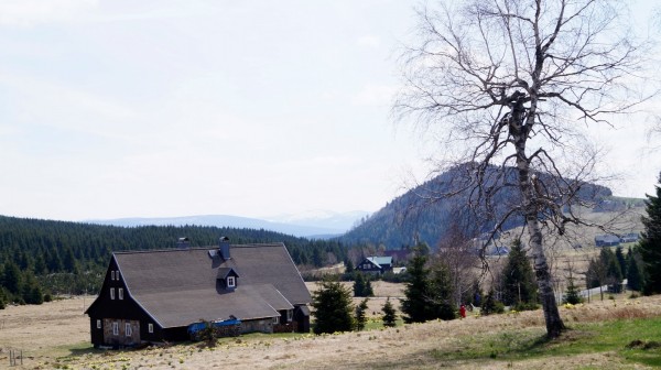 DSC07716