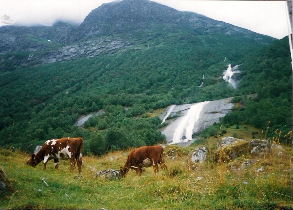 skenovn0063