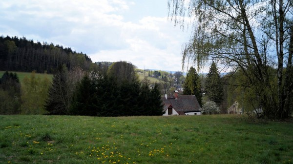DSC08247
