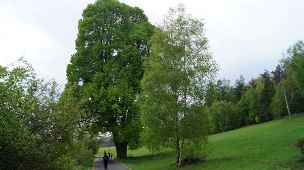 DSC08336