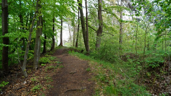 DSC08346