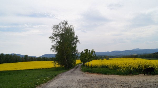 DSC08475