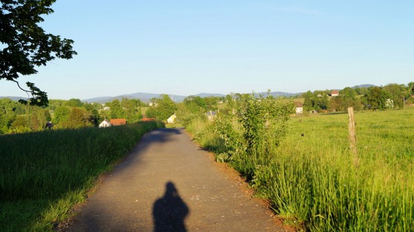DSC08505