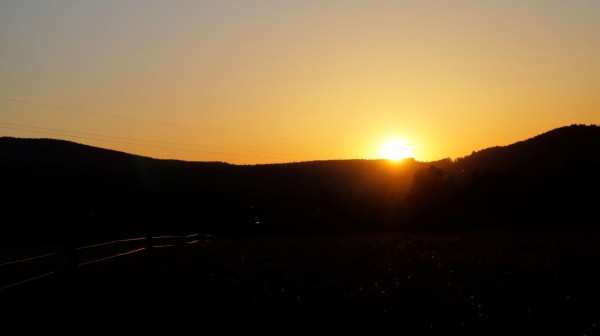 DSC08612