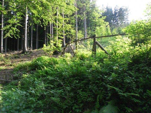 SAM_3051