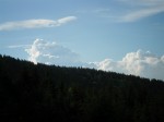 SAM_3024