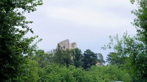 DSC08795