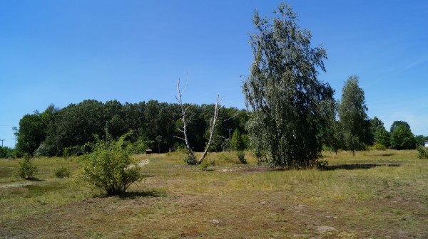 DSC09277