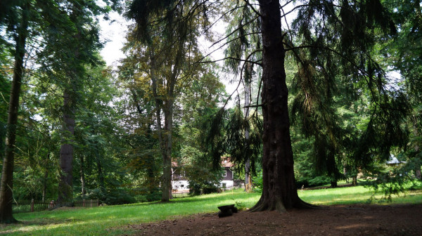 DSC09626