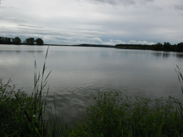 SAM_3462