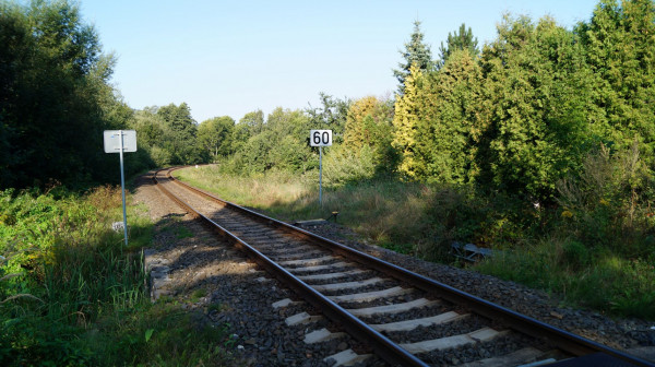 DSC09900