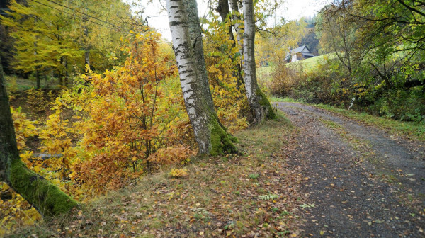 DSC00308