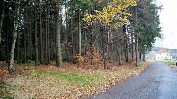 DSC00431