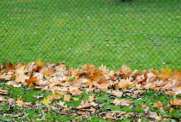 DSC00436