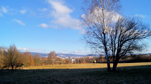 DSC00730